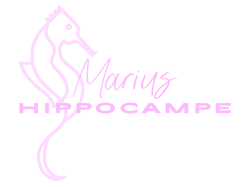 Marius Hippocampe